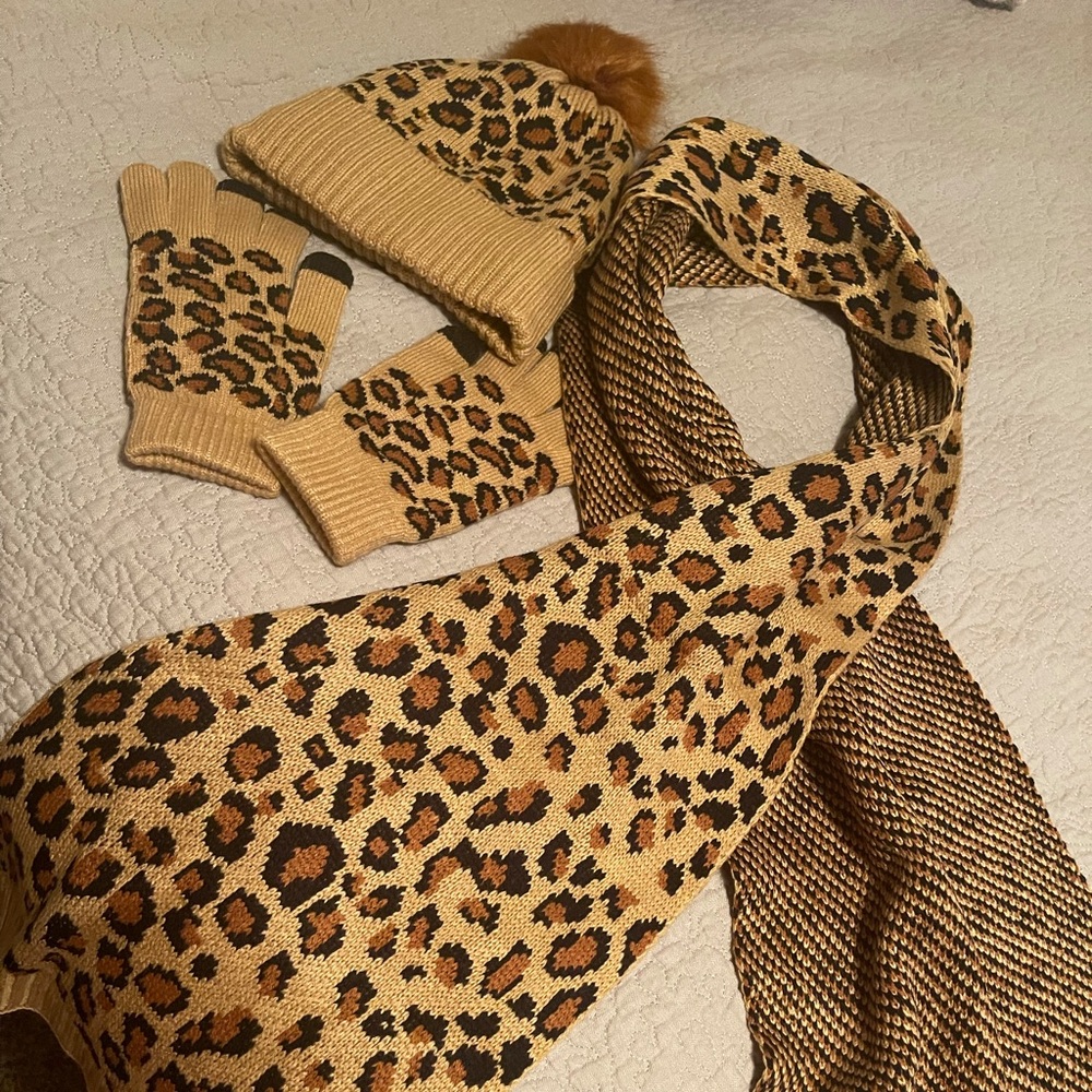 Hat (beanie) gloves and shawl (wrap)